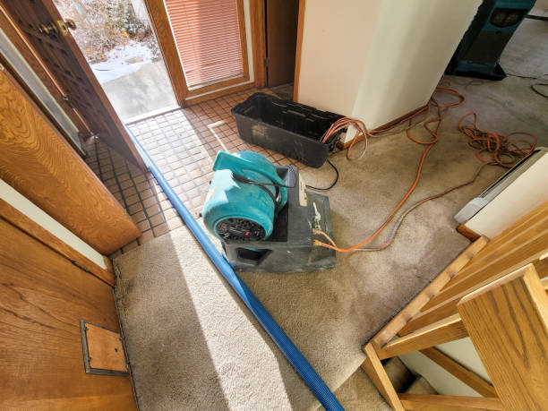 Professional Water damage restoration in Lakeside, MT