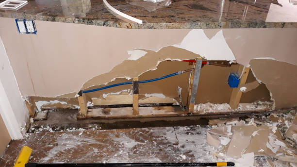 Best Water damage restoration process  in Lakeside, MT