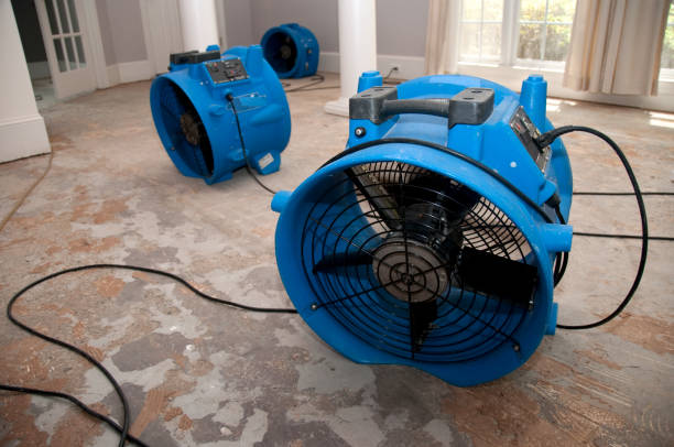 Best Residential water damage restoration  in Lakeside, MT