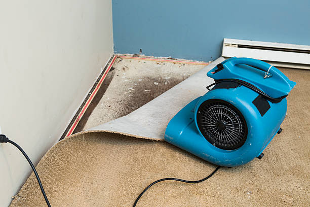 Best Ceiling water damage repair  in Lakeside, MT