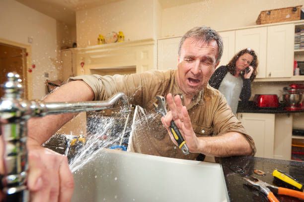 Best Local water damage restoration  in Lakeside, MT